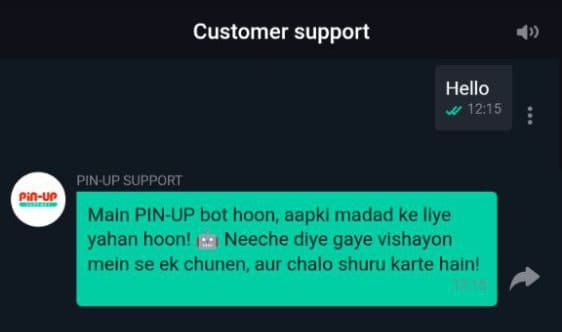 pin up support